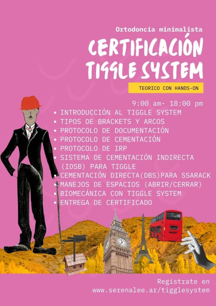 Programa curso tiggle system